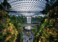 Nature Indoors: Embracing Biophilic Design