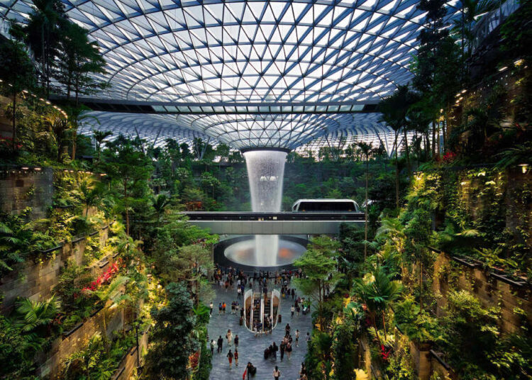 Nature Indoors: Embracing Biophilic Design