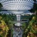 Nature Indoors: Embracing Biophilic Design