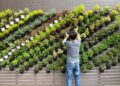 Vertical Gardens: A Green Revival